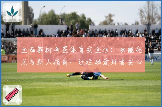 全面解析海星体育安全性:功能亮点与新人指南,让运动爱好者安心体验
