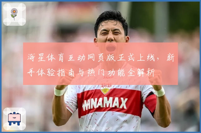 海星体育互动网页版正式上线，新手体验指南与热门功能全解析