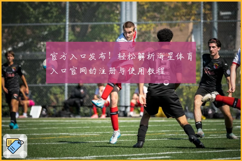 官方入口发布！轻松解析海星体育入口官网的注册与使用教程