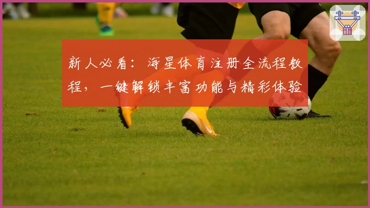 新人必看:海星体育注册全流程教程,一键解锁丰富功能与精彩体验