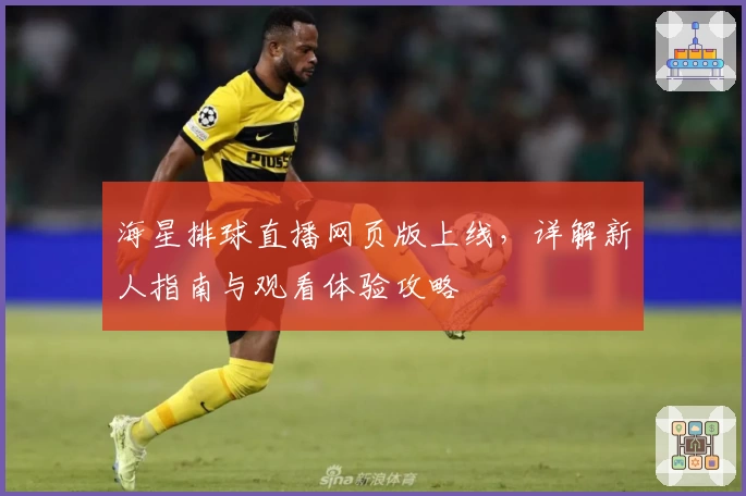 海星排球直播网页版上线,详解新人指南与观看体验攻略
